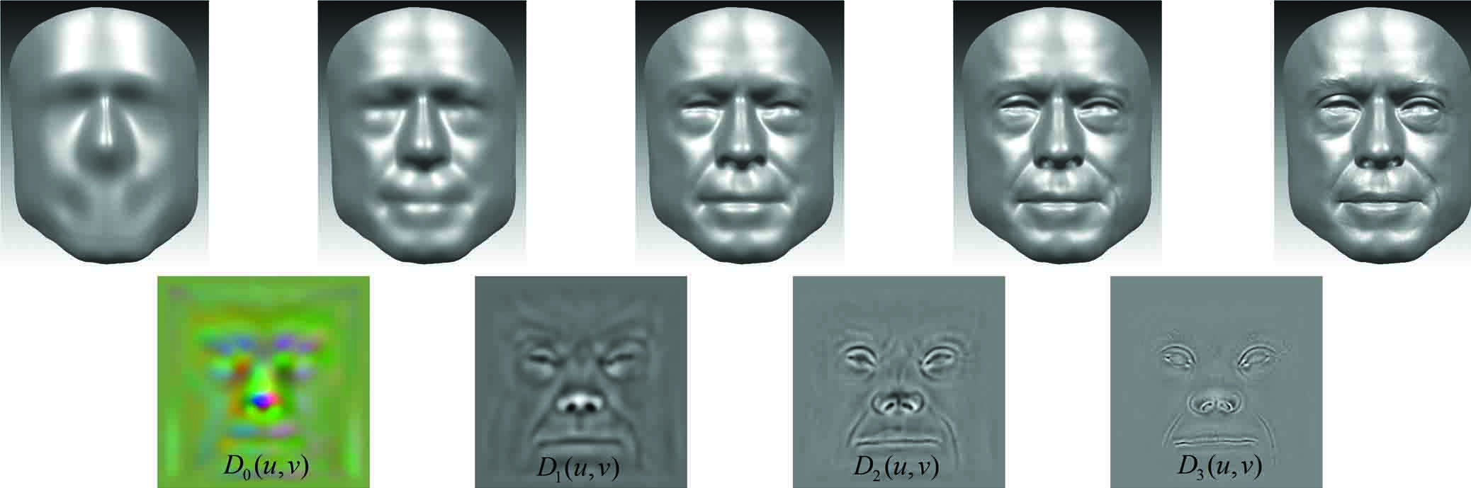 A multiscale face model consisting of a base surface and multiscale continuous displacement maps.