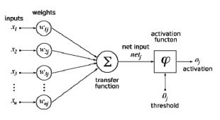 Artificial neural network structure