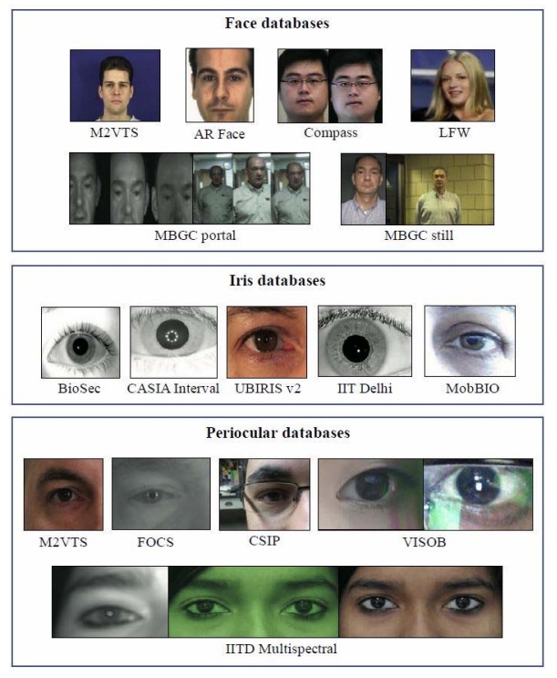 face, iris, and periocular database images