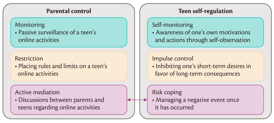 Conceptual framework of Teen Online Safety Strategies (TOSS)