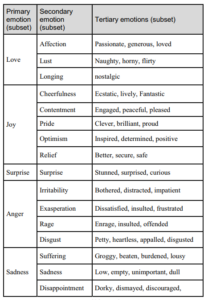 Emotion categorization subsets