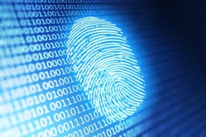 botnet fingerprinting